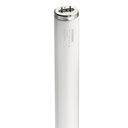 Sylvania Rapid Start Fluorescent Tube 20W Cool White