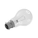 Incandescent GLS Low Voltage Clear Globe 40W 12V 2700K B22
