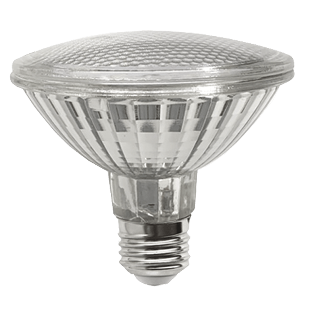 Lus LED Globe PAR30 15W 4000K Non-Dimmable E27