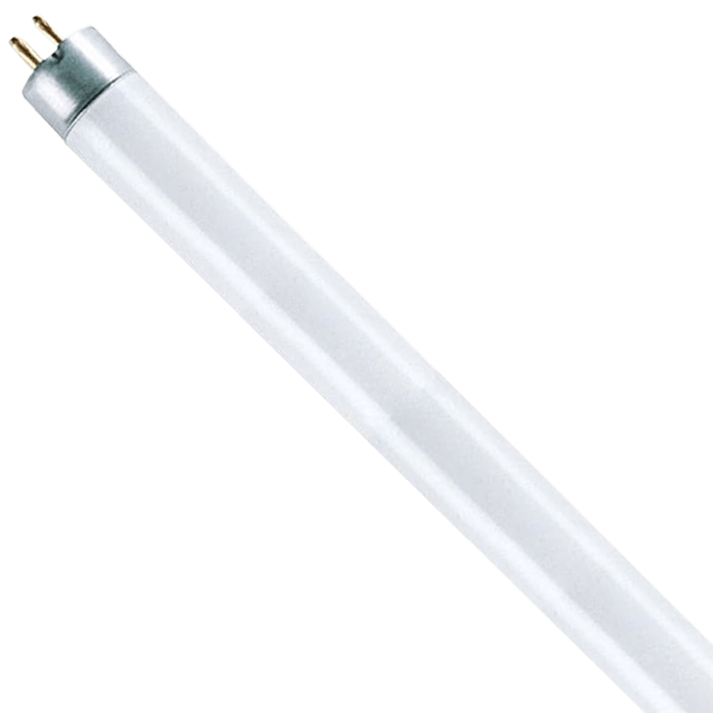 T5 Fluorescent Tube 8W 6500K 300MM