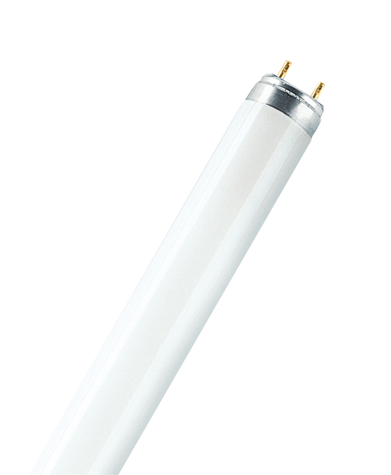 T8 Tube 36W L36W/940 Cool White Fluorescent Lamp 1200 mm