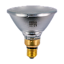 Outdoor Reflector PAR38 120W 2700K E27