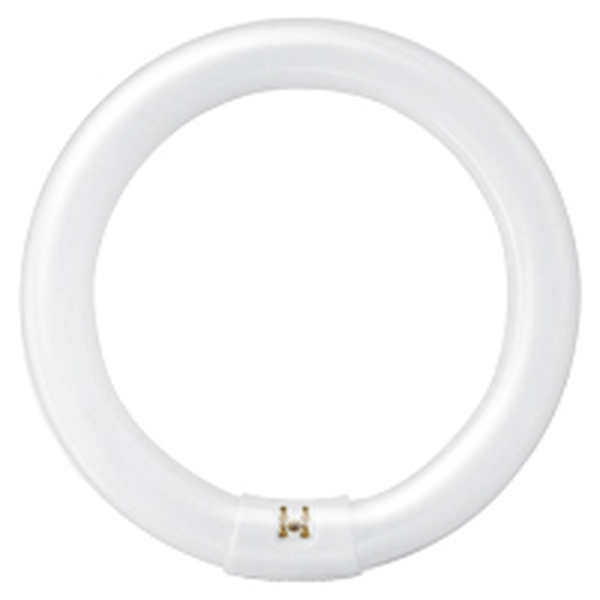 22W CIRC FC8T9 6500K *SYL*