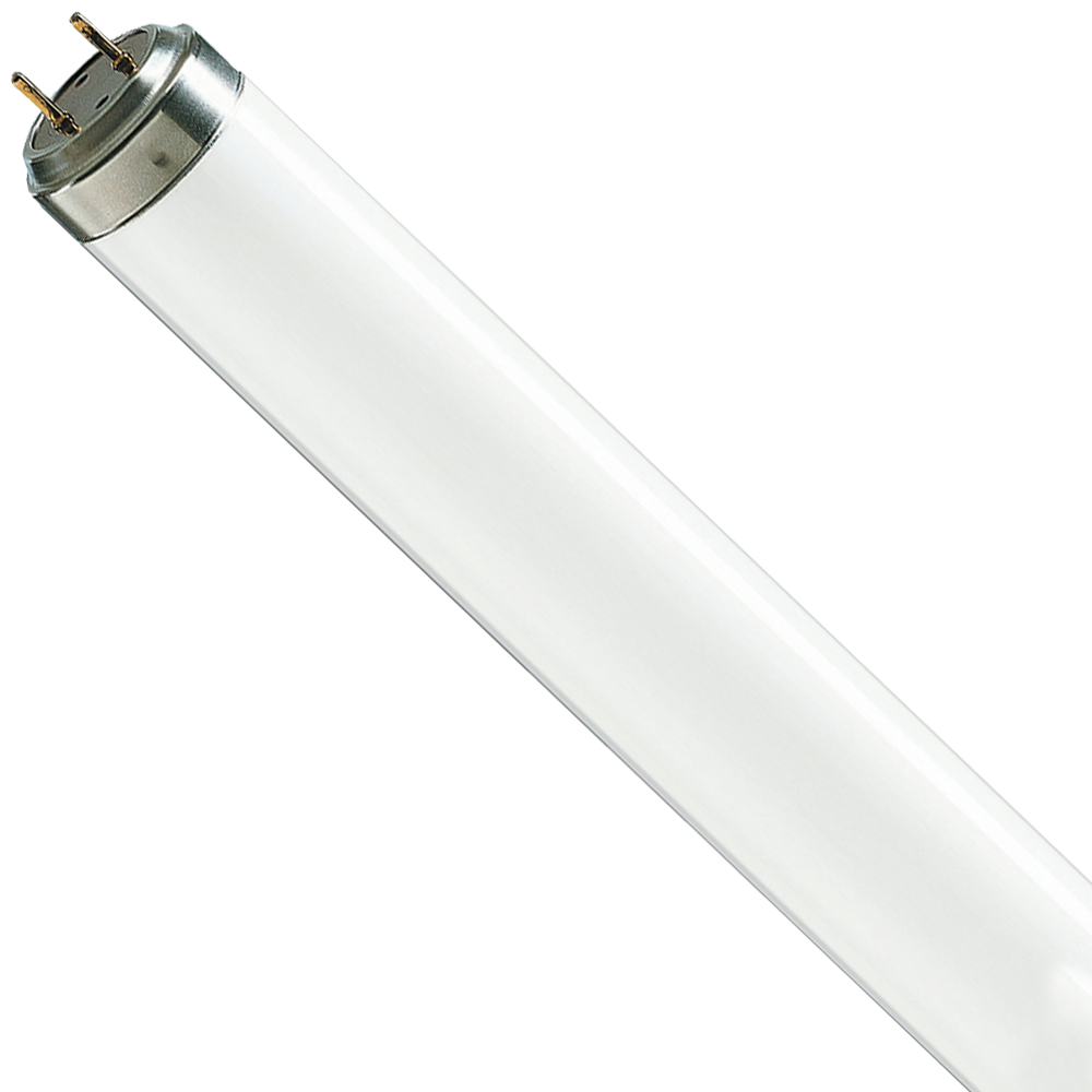 Blacklight Fluorescent Lamp T12 BL368 20W G13 600mm