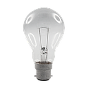 Incandescent GLS Low Voltage Clear Globe 40W 12V 2700K B22