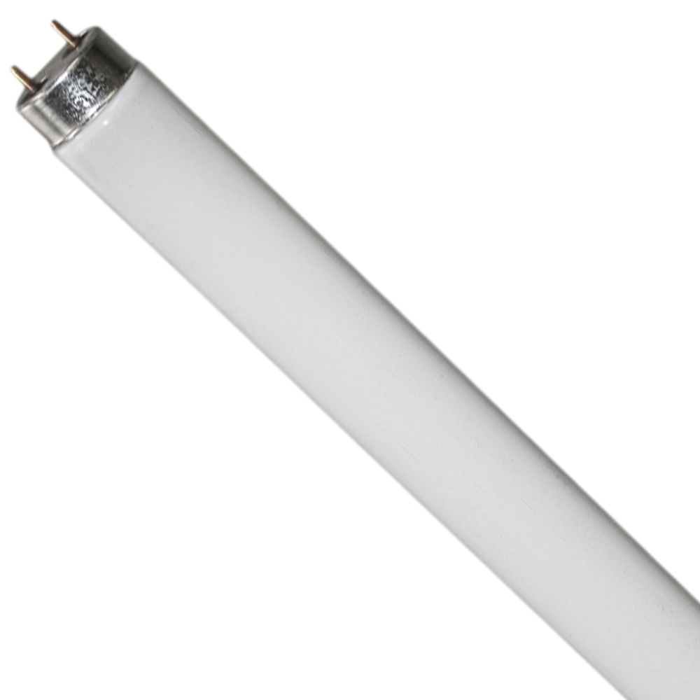 T8 Triphosphor Fluorescent Lamp 18W 6500K G13 600mm