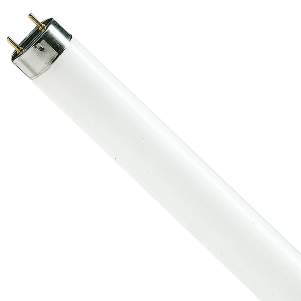 Lifemax Tube Light TL-D T8 15W 4000K G13 450mm (10026)