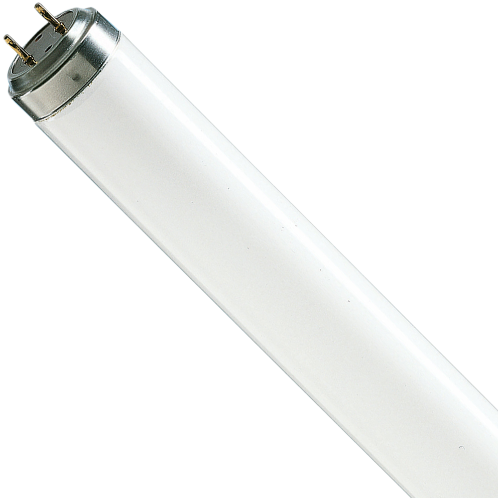 FL20 T12 Tri Phosphor Fluorescent Lamp 20W 4000K 600mm
