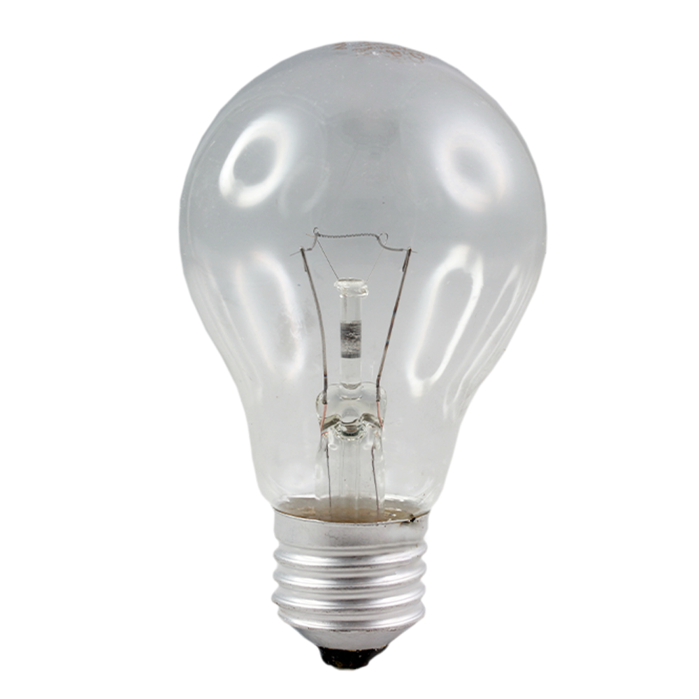 Incandescent Oven Globe 60W Clear 230-240V E27 gls