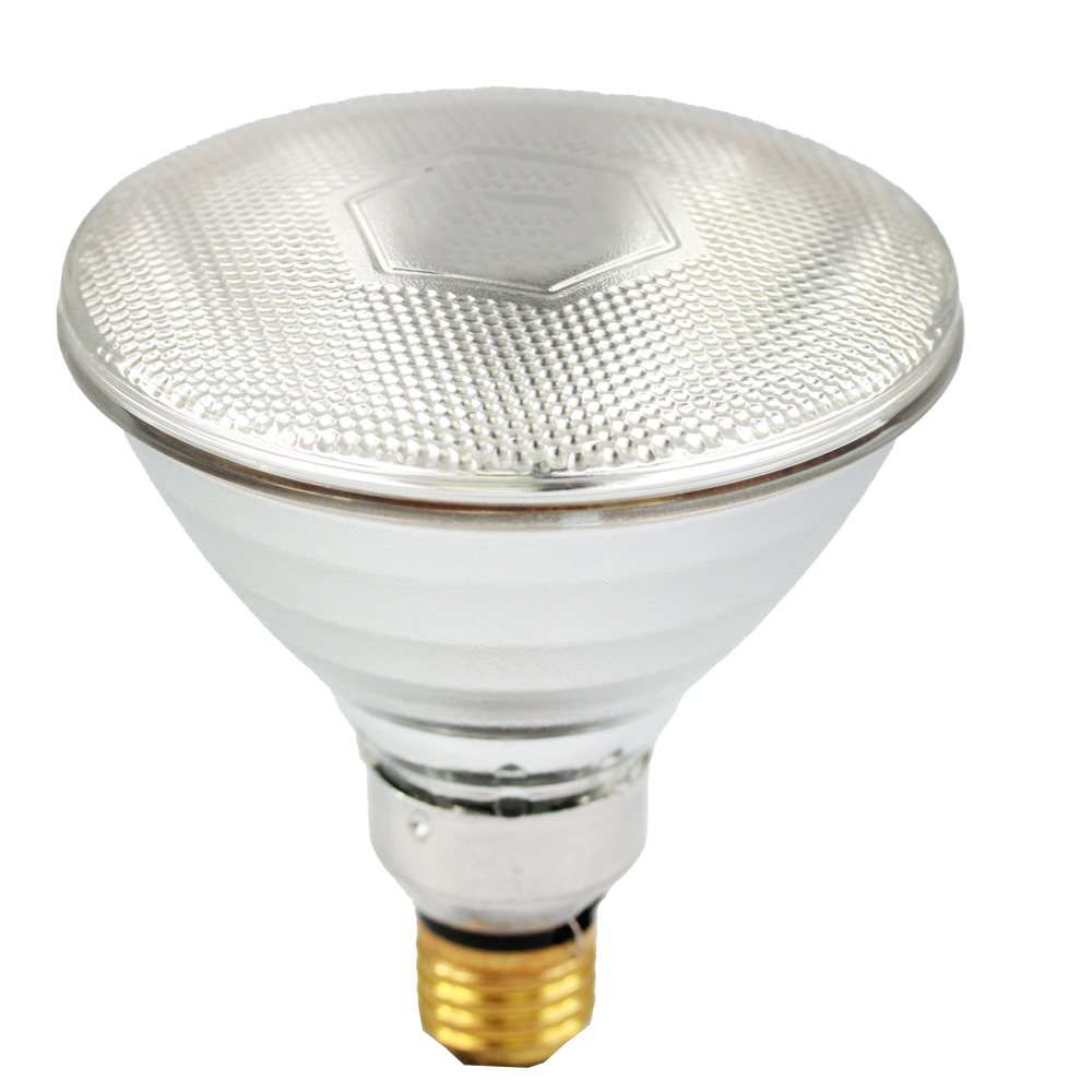  Incandescent 240v P38 175W ES I/R CLEAR