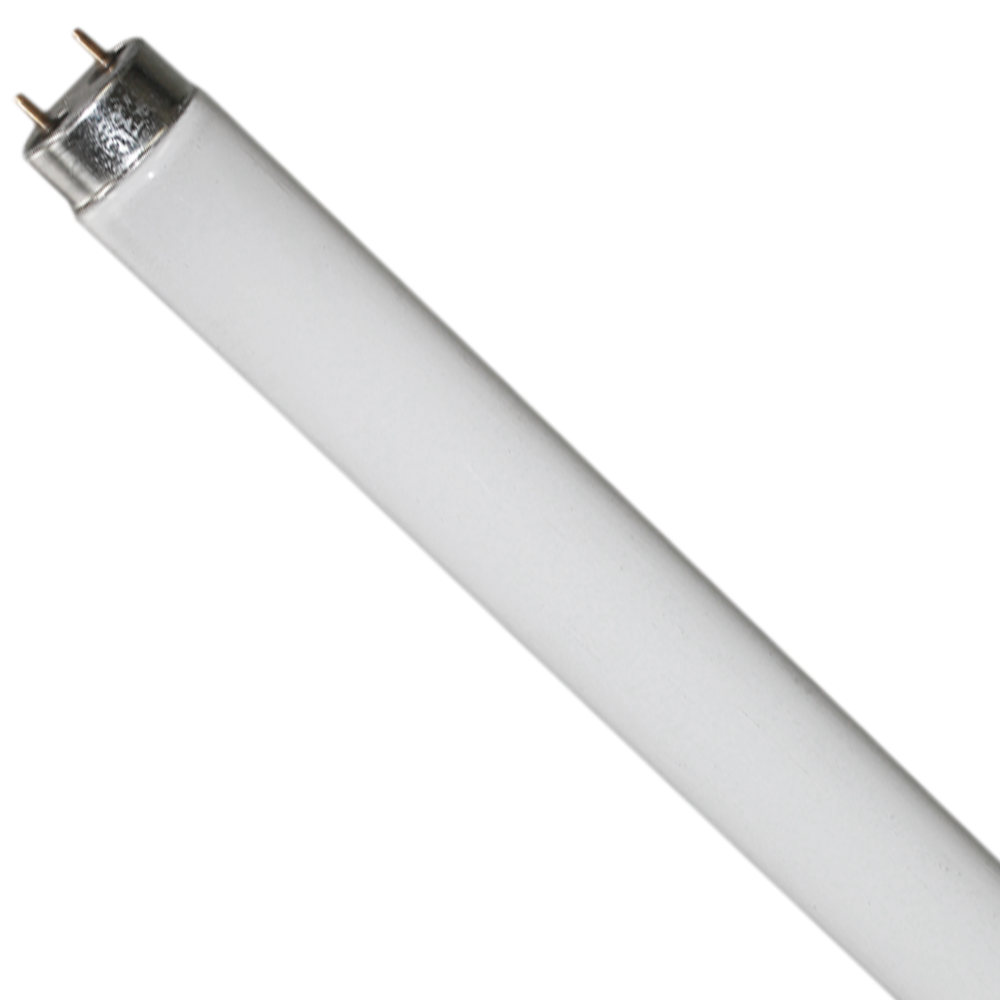36W T8 Cool White Fluorescent Tube – 4000K 3350lm | 1200mm