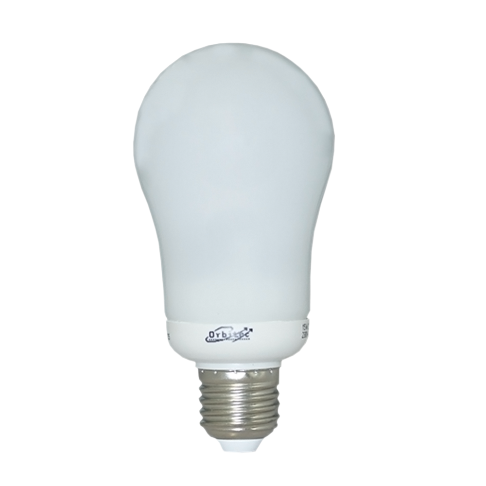 GLS Compact Fluorescent Frosted FLST 008890 15W 230V E27