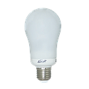 GLS Compact Fluorescent Frosted FLST 008890 15W 230V E27