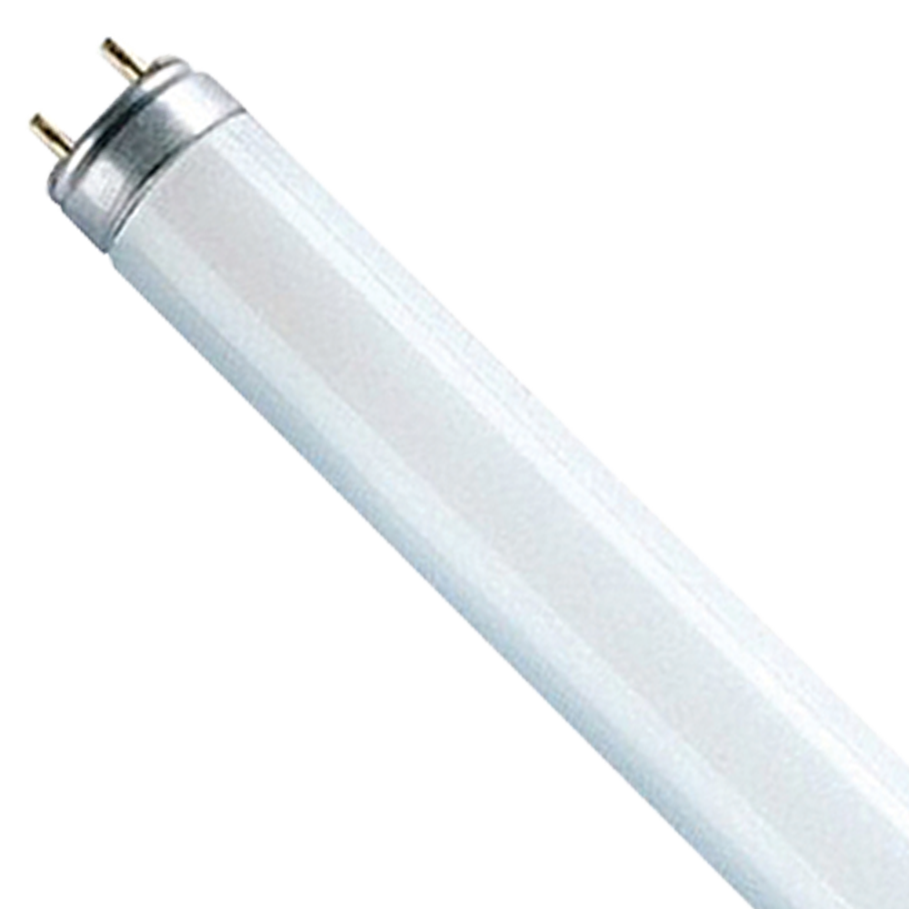 T10 AAA Preheat Fluorescent Lamp F20T10 20W 5000K G13 600mm