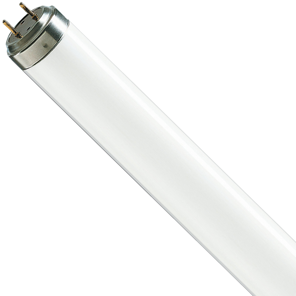 Blacklight Fluorescent Lamp T8  36W G13 1210mm
