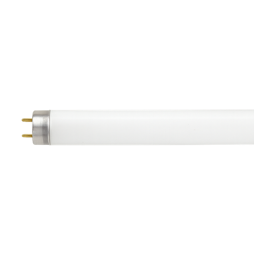 [6833_box] Fluorescent Lights T8 36W 3000K G13 1200mm - BOX OF 25 PCS