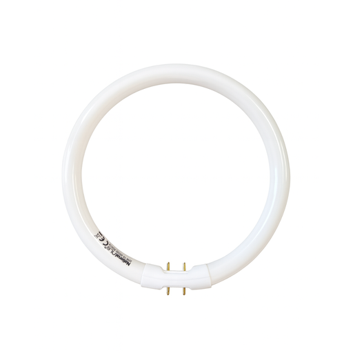[FC22W850_BOX10] BOX OF 10: Circular Fluorescent T5 22W 5000K 850 2GX13 4 Pins ($17.10 EACH)