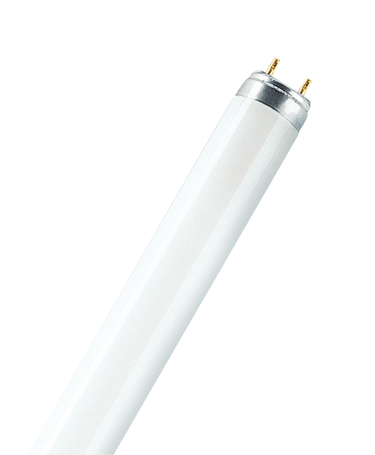 [4050300011301] T8 Tube 36W L36W/940 Cool White Fluorescent Lamp 1200 mm