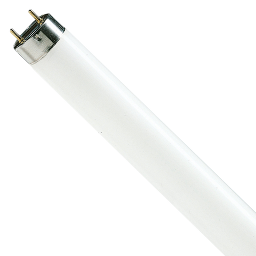 [TLD10W33] T8 Lifemax Tube Light TL-D 10W 4100K G13 340mm