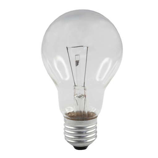 [012040] Deluxlite GLS Low Voltage Clear 40W 12V 2700K E27