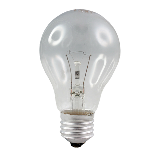 [ST4262] Incandescent Oven Globe 60W Clear 230-240V E27 gls