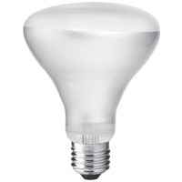 Incandescent R95 Reflector Lamp 75W ES 240V