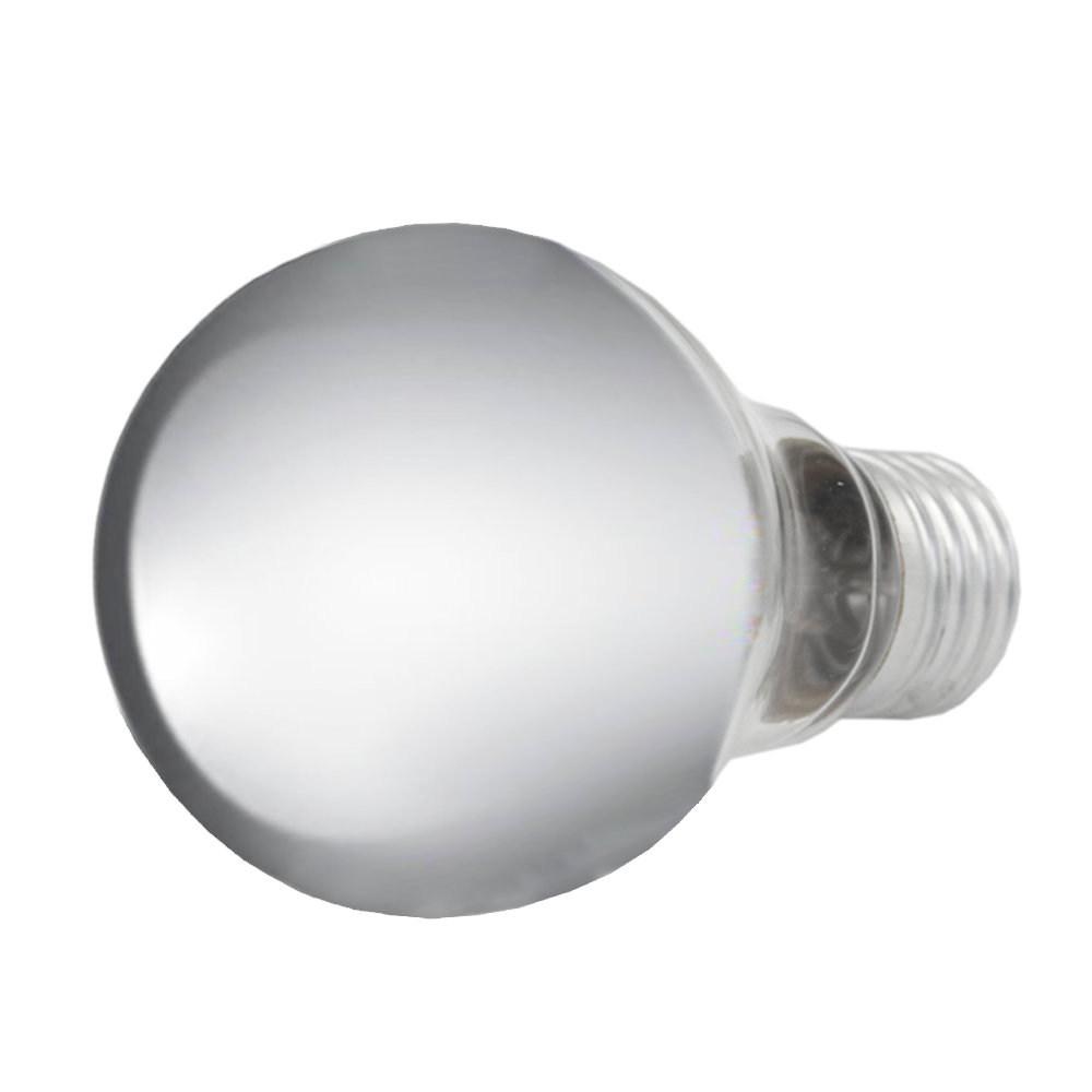 Incandescent Crown Silver Lamp A19 60W 240V E27