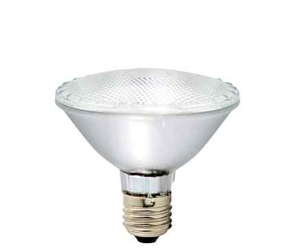 FSL Halogen Flood Lamp Par 30 100W Edison