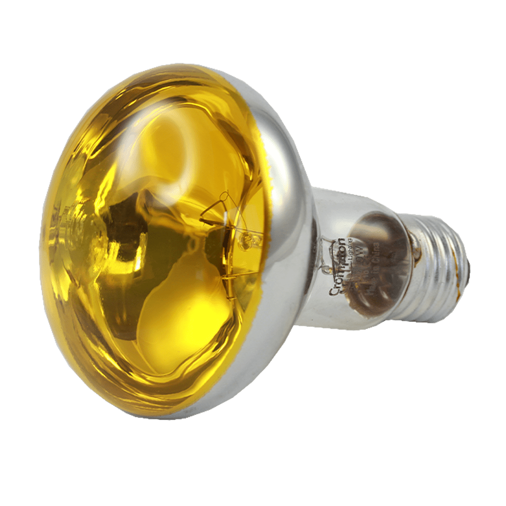 Incandescent R80 Coloured Reflector Lamp Yellow 60W 240V E27