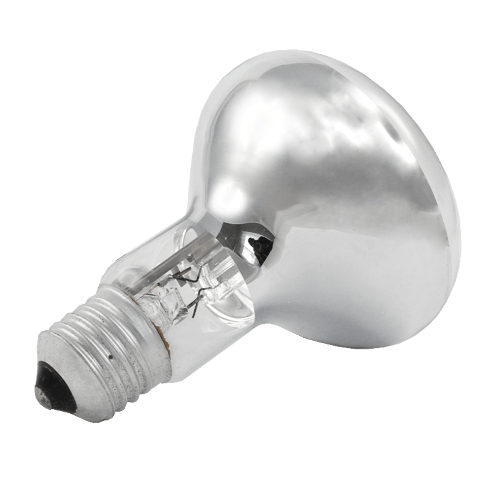 Energy Saving R80 Halogen Lamp 53W 2800K E27