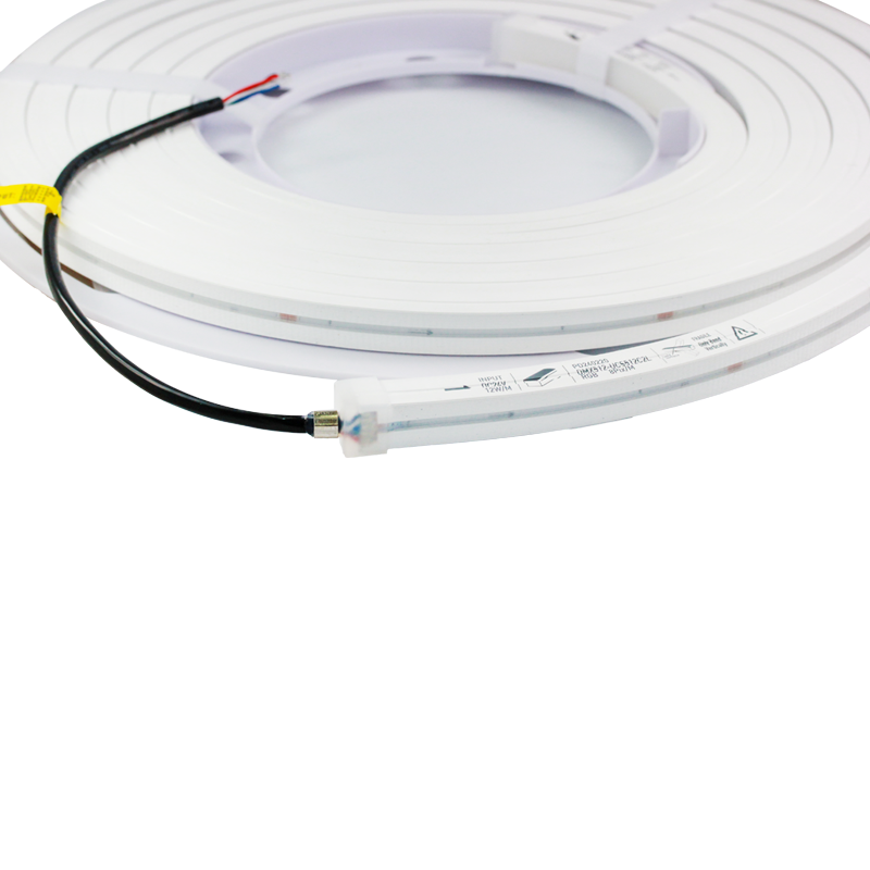 LED Neon Flexible Strip  IP67 1615mm 12W/m DC RGB  5M/Reel