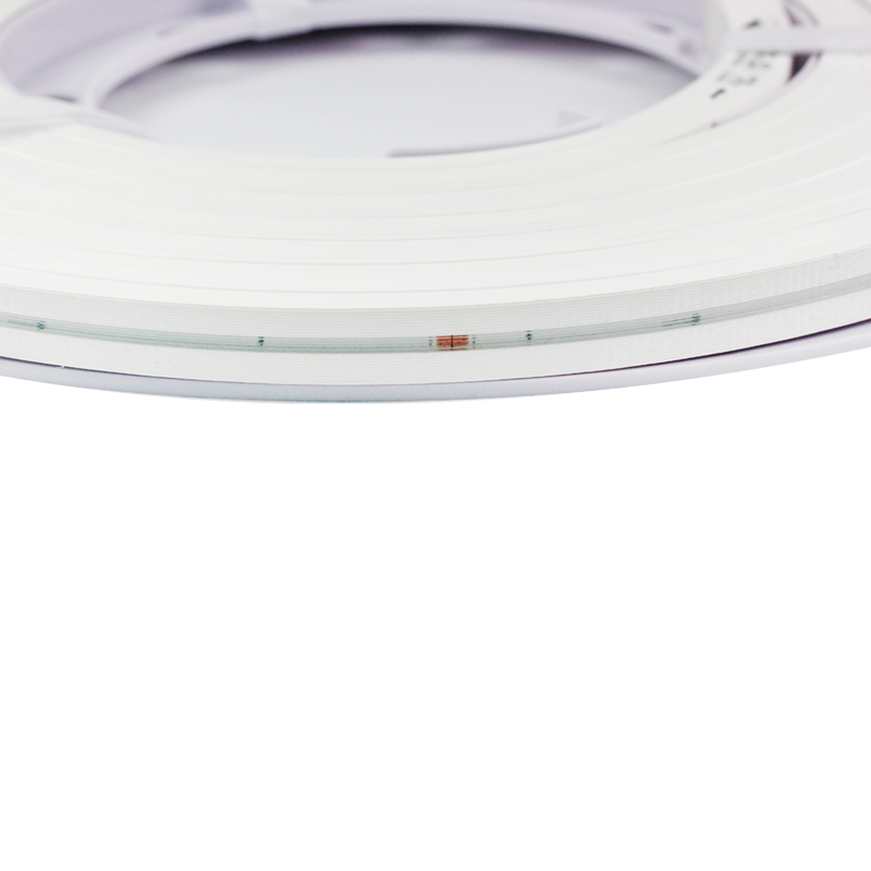 LED Neon Flexible Strip  IP67 1615mm 12W/m DC RGB  5M/Reel